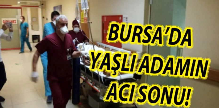 Bursa'da ceviz ağacından düştü, hastanede öldü
