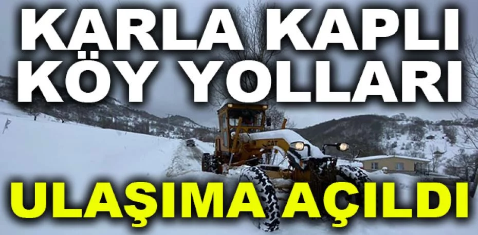 Karla kaplı Yenişehir'deki köy yolları ulaşıma açıldı