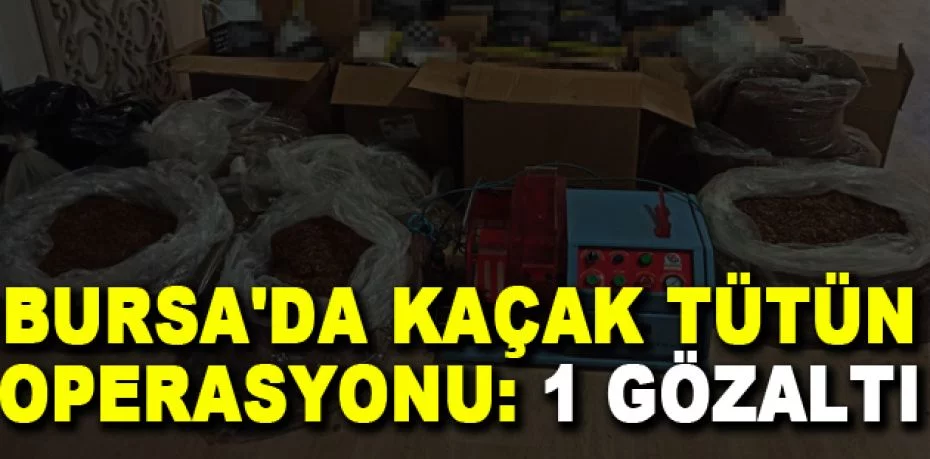 Bursa'da kaçak tütün operasyonu: 1 gözaltı