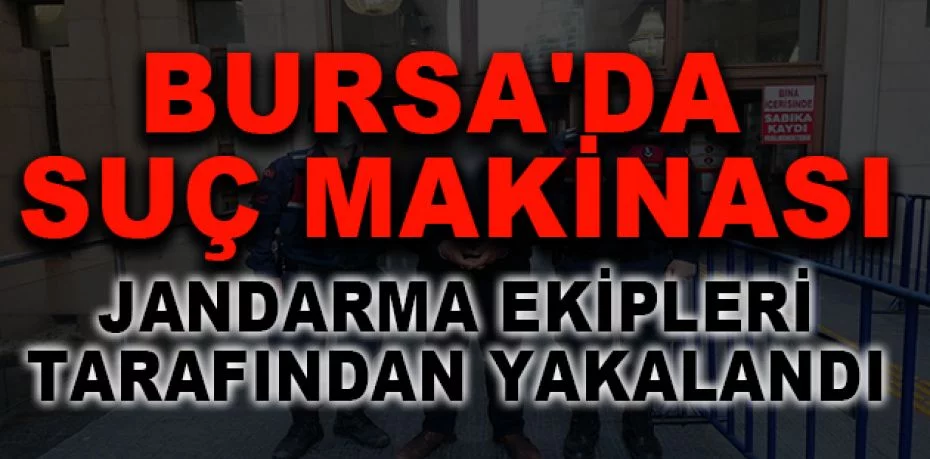 Bursa'da suç makinası jandarma ekipleri tarafından yakalandı