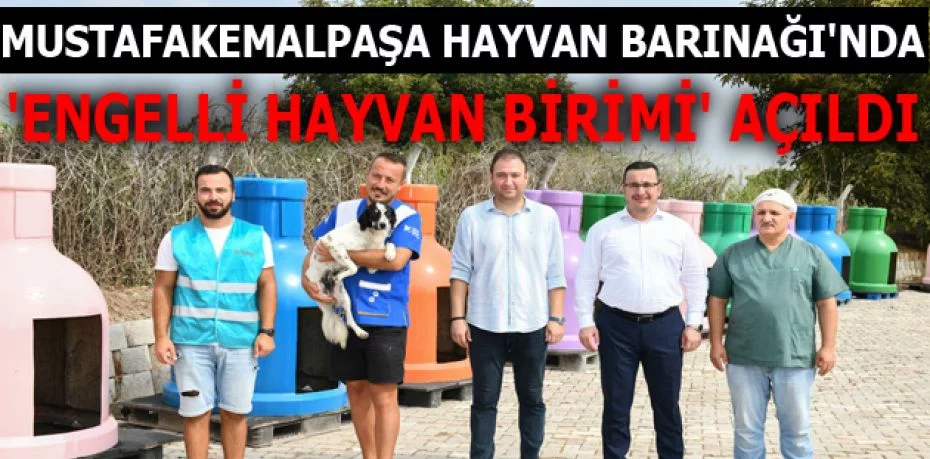 Mustafakemalpaşa Hayvan Barınağı'nda 'Engelli Hayvan Birimi' açıldı