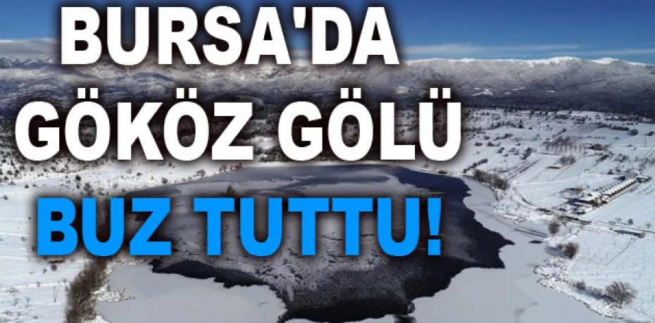 Bursa'da Gököz Gölü buz tuttu, kartpostallık görüntüler oluştu