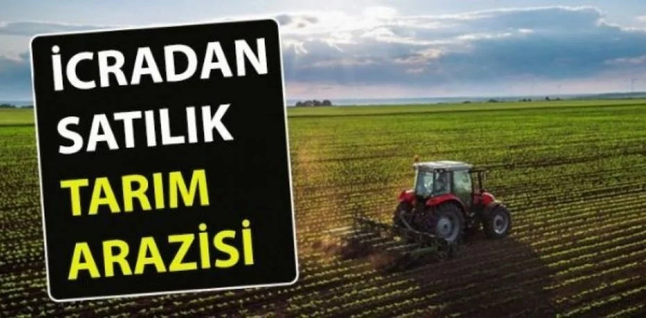 Kilis Söğütlü'de 12 adet tarım arazisi açık artırma ile satılacak (çoklu satış)