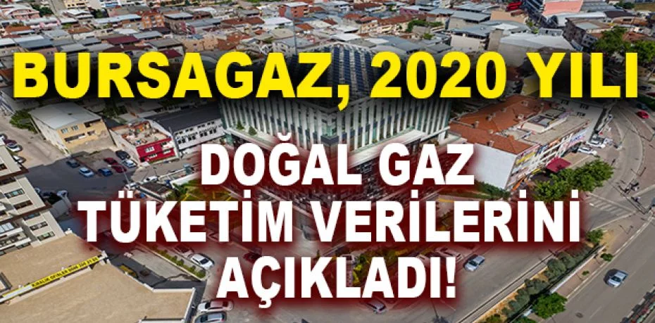Bursagaz, 2020 yılı doğal gaz tüketim verilerini açıkladı!