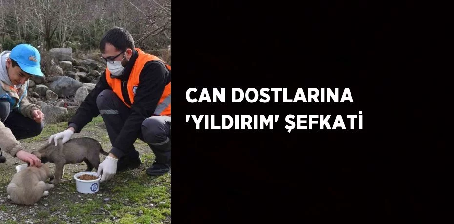 CAN DOSTLARINA 'YILDIRIM' ŞEFKATİ