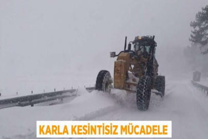 KARLA KESİNTİSİZ MÜCADELE