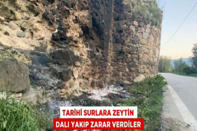 TARİHİ SURLARA ZEYTİN DALI YAKIP ZARAR VERDİLER