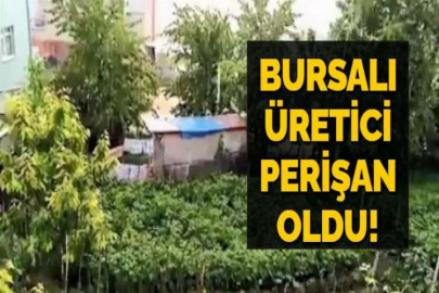BURSALI ÜRETİCİ PERİŞAN  OLDU!