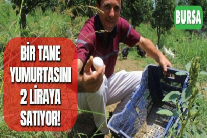 BİR TANE YUMURTASINI 2 LİRAYA SATIYOR!
