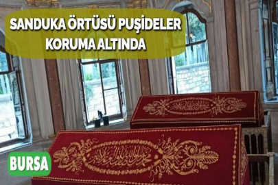 SANDUKA ÖRTÜSÜ PUŞİDELER KORUMA ALTINDA