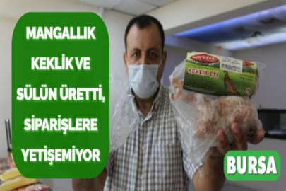 MANGALLIK KEKLİK VE SÜLÜN ÜRETTİ, SİPARİŞLERE YETİŞEMİYOR
