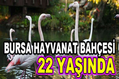 Bursa Hayvanat Bahçesi 22 yaşında