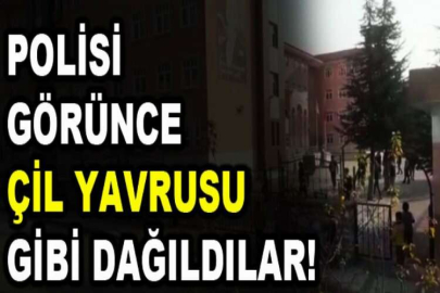 Polisin sirenini duyup çil yavrusu gibi dağıldılar