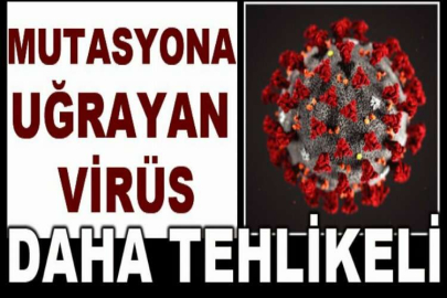 Mutasyona uğrayan virüs daha tehlikeli
