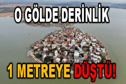 2600 yıllık geçmişi olan Uluabat Gölü'nde kuraklık tehlikesi