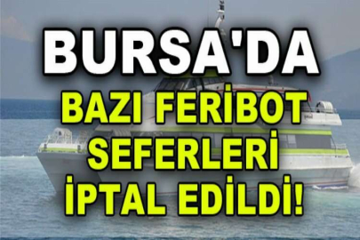 Bursa'da bazı feribot seferleri iptal edildi