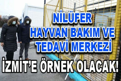 Nilüfer Hayvan Bakım ve Tedavi Merkezi İzmit’e örnek olacak