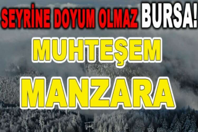 Uludağ'da sislerin ve bulutların arasında büyüleyici kar manzaraları