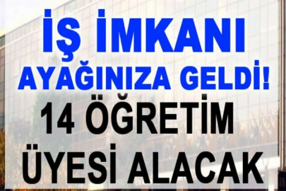 İstanbul Medipol Üniversitesi 14 öğretim üyesi alacak