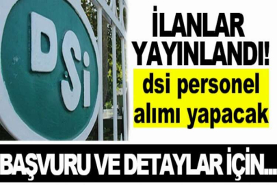 DSİ İnşaat ve Makine Mühendisi istihdam ilanı