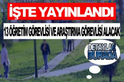 Özyeğin Üniversitesi 13 öğretim görevlisi ve araştırma görevlisi alacak