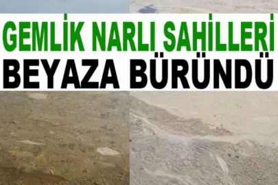 Gemlik Narlı sahilleri beyaza büründü