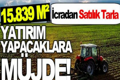 Sivas Hafik'te 15.839 m² tarla icradan satılıktır (çoklu satış)