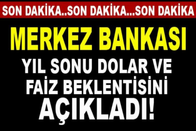 Merkez Bankası yıl sonu dolar ve faiz beklenti anketini paylaştı