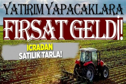 Menteşe Dağpınar mahallesinde tarla icradan satılıktır