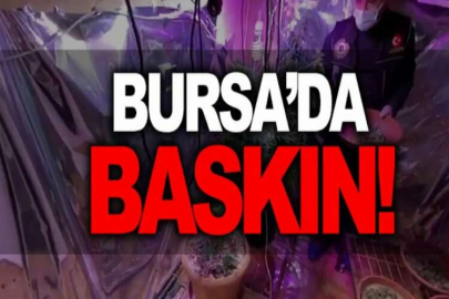 Odada kenevir yetiştirme sistemi kurmuşlar