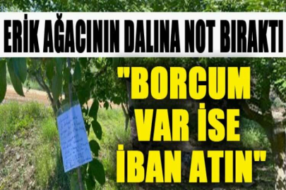 Erik ağacının dalına not bıraktı, "Borcum var ise iban atın"