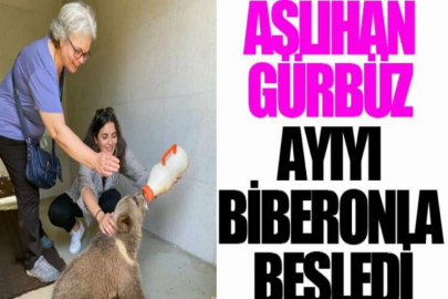 Aslıhan Gürbüz ayıyı biberonla besledi