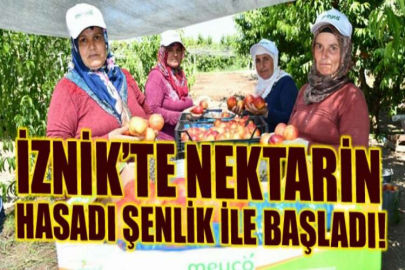 İznik’te nektarin hasadı şenlik ile başladı