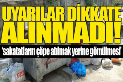 Uyarılar dikkate alınmadı, karasinek çoğaldı