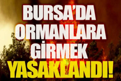 Bursa’da ormanlara giriş eylüle kadar yasak