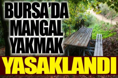 Bursa’da mesire alanlarında da mangal yakmak yasaklandı