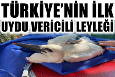 Türkiye’nin ilk uydu vericili leyleği