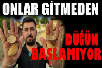 Onlar gitmeden düğün başlamıyor