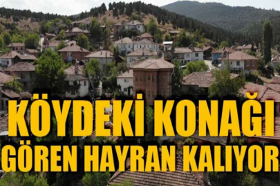 Bu köye gelen misafirler milyonluk konakta ücretsiz kalıyor