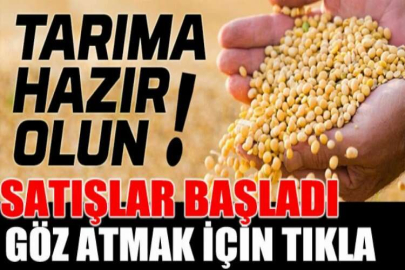 Kilis Polateli'nde 130.354 m2 tarım arazisi mahkemeden satılıktır