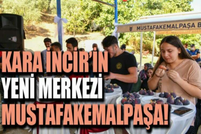Mustafakemalpaşa Kara incir'in yeni merkezi olacak