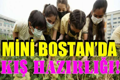 Mini Bostan’da kış hazırlığı