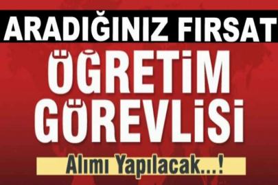 İstanbul Üniversitesi Öğretim Elemanı alım ilanı