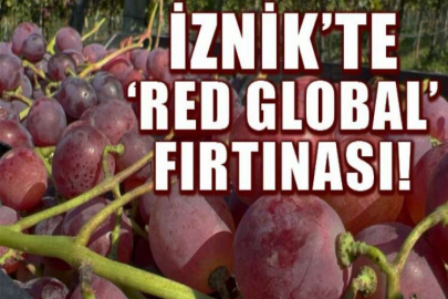 İznik'te "red globe" fırtınası