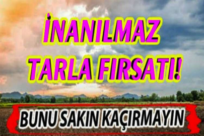 Erzincan Merkez Yaylabaşı Mahallesi'nde 7.006 m² sulu tarla mahkemeden satılıktır