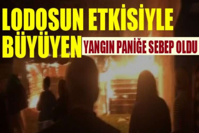 Bursa'da lodosun etkisiyle büyüyen yangın paniğe sebep oldu