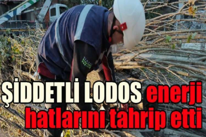 Şiddetli lodos enerji hatlarını tahrip etti