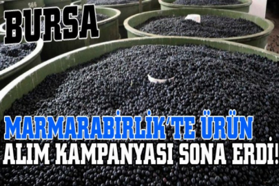 Marmarabirlik’te ürün alım kampanyası sona erdi