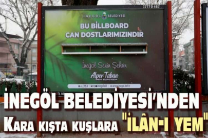 Kara kışta kuşlara "ilân-ı yem"