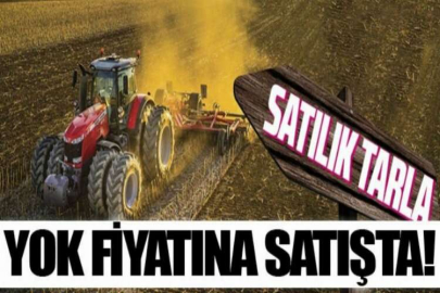 Bolu Yeniçağa'da 2900 m² tarla mahkeme kararı ile satılacak